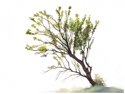 lisonsabiols-croquistrees03